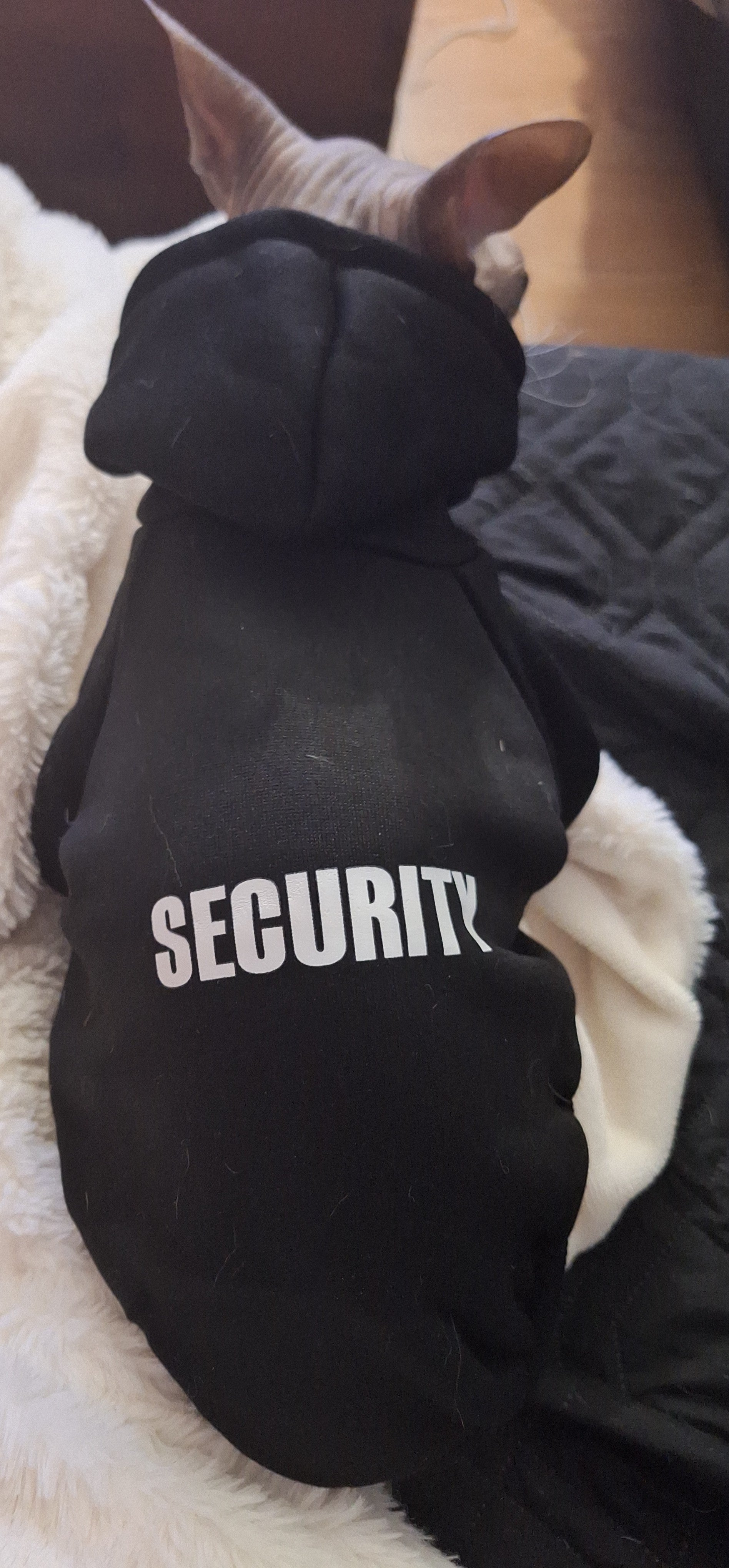 Security Hoodie