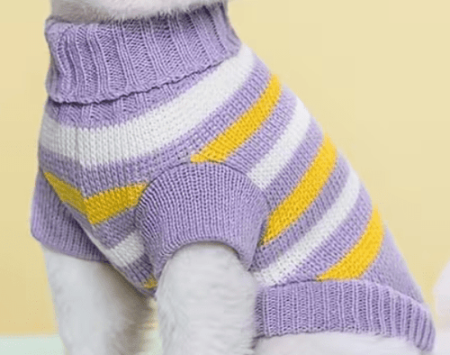 Easter Sweater - The Sphynx Crate