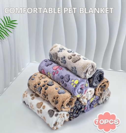 Fleece Blanket - The Sphynx Crate